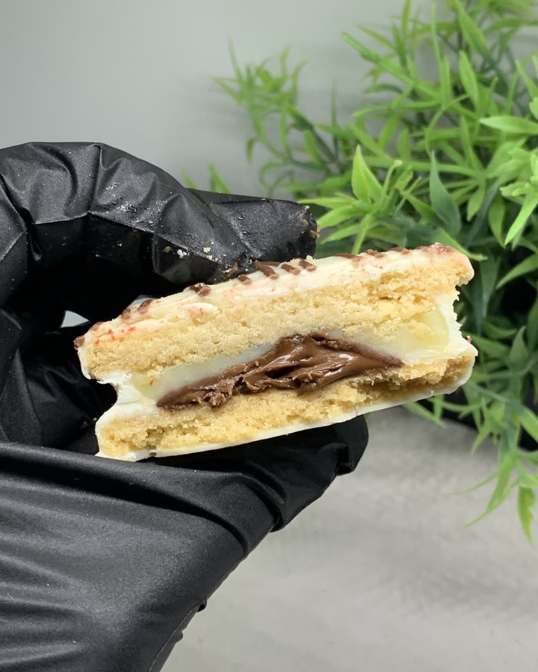 Biscojor